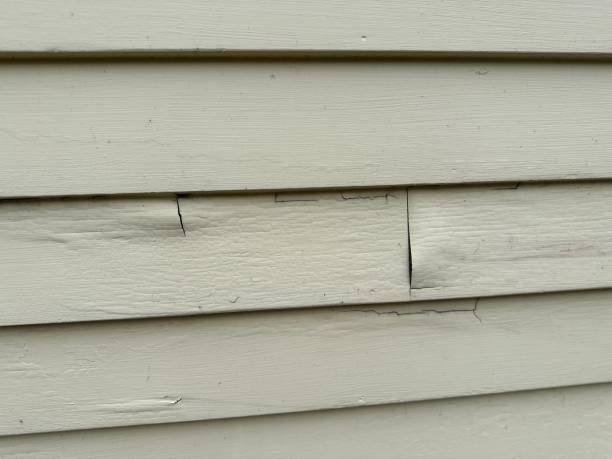 Best Fiber Cement Siding Installation  in Leesburg, VA